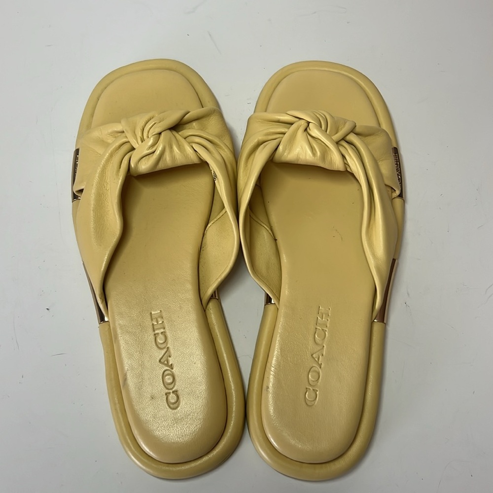 Coach Brooklyn - image 6